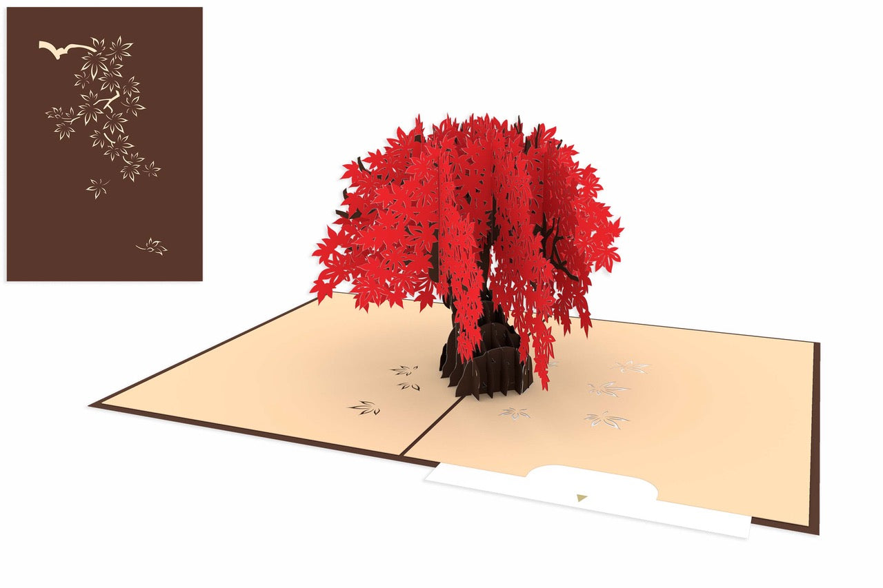 Pop-Up Bonsai Note Card – Chrysler Museum of Art