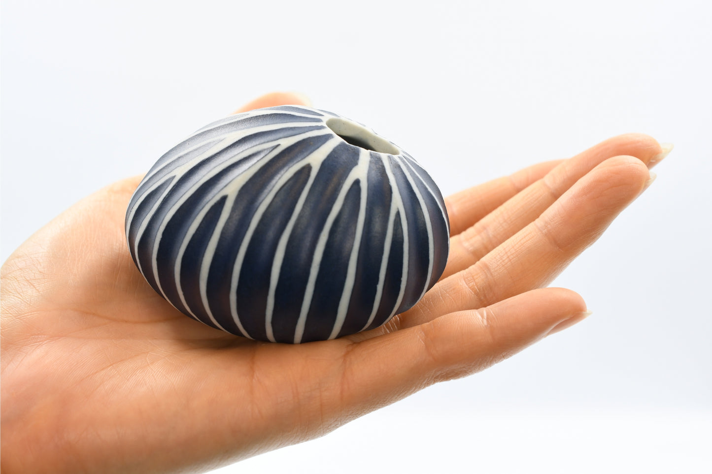 Hand holding a blue and white striped ceramic vase against a light background