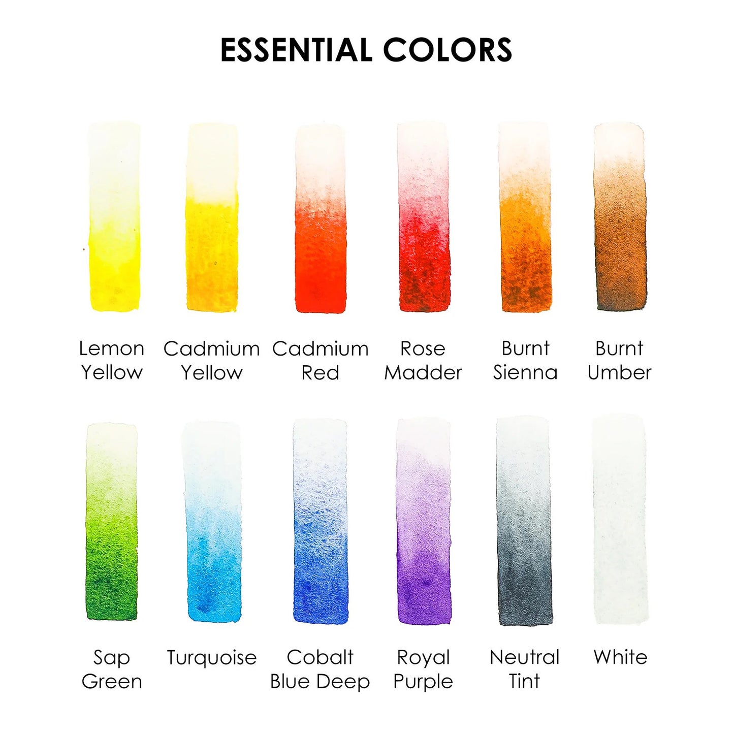 Color swatches labeled with names of essential colors on a white background