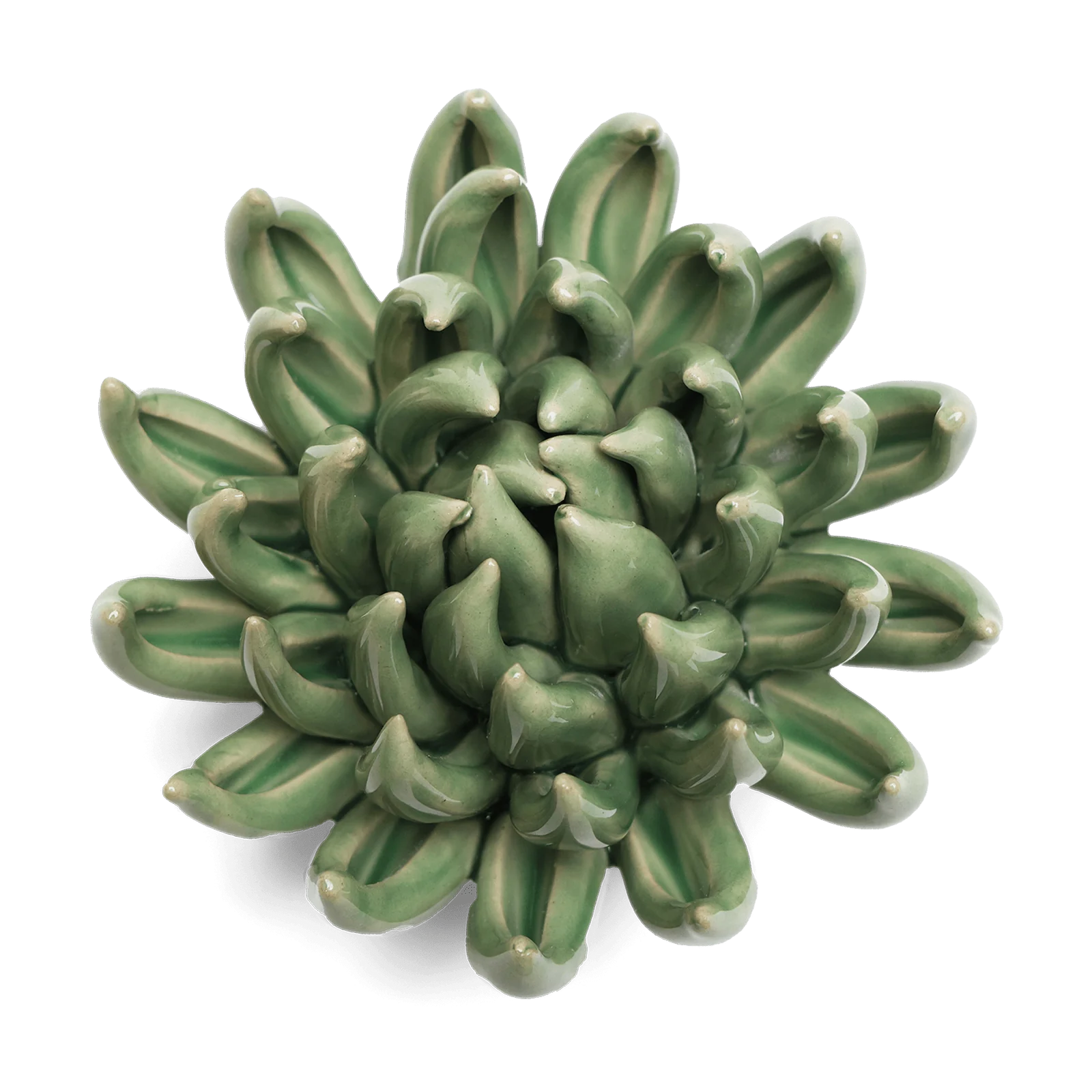 chive ceramic succulents Ceramic Wallflower Jade Green Succulent – Chrysler Museum of Art