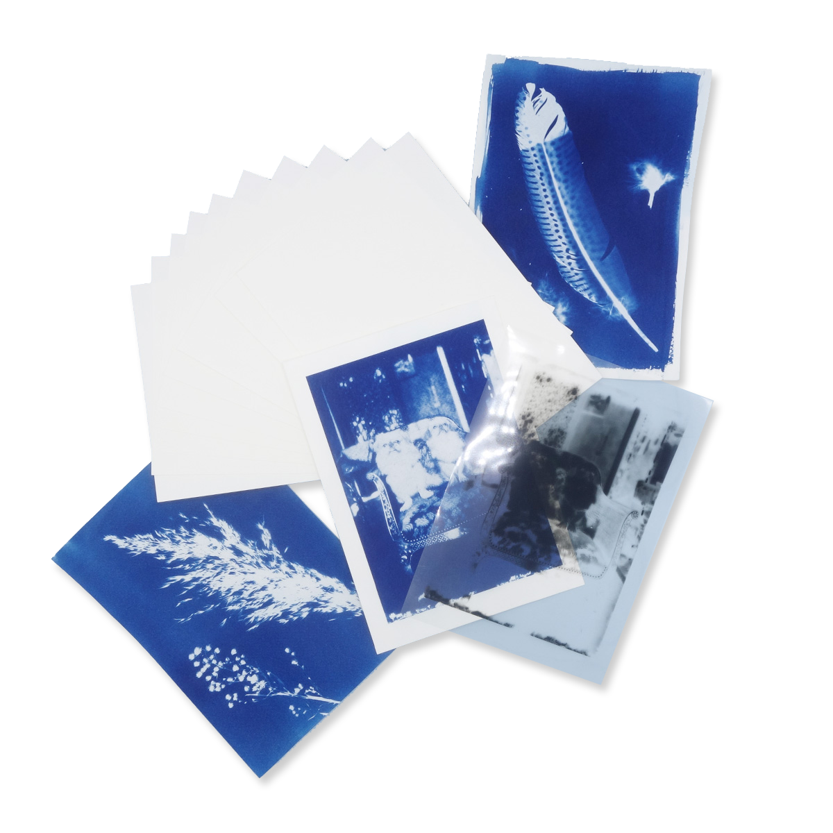 DIY Paper Cyanotype Kit
