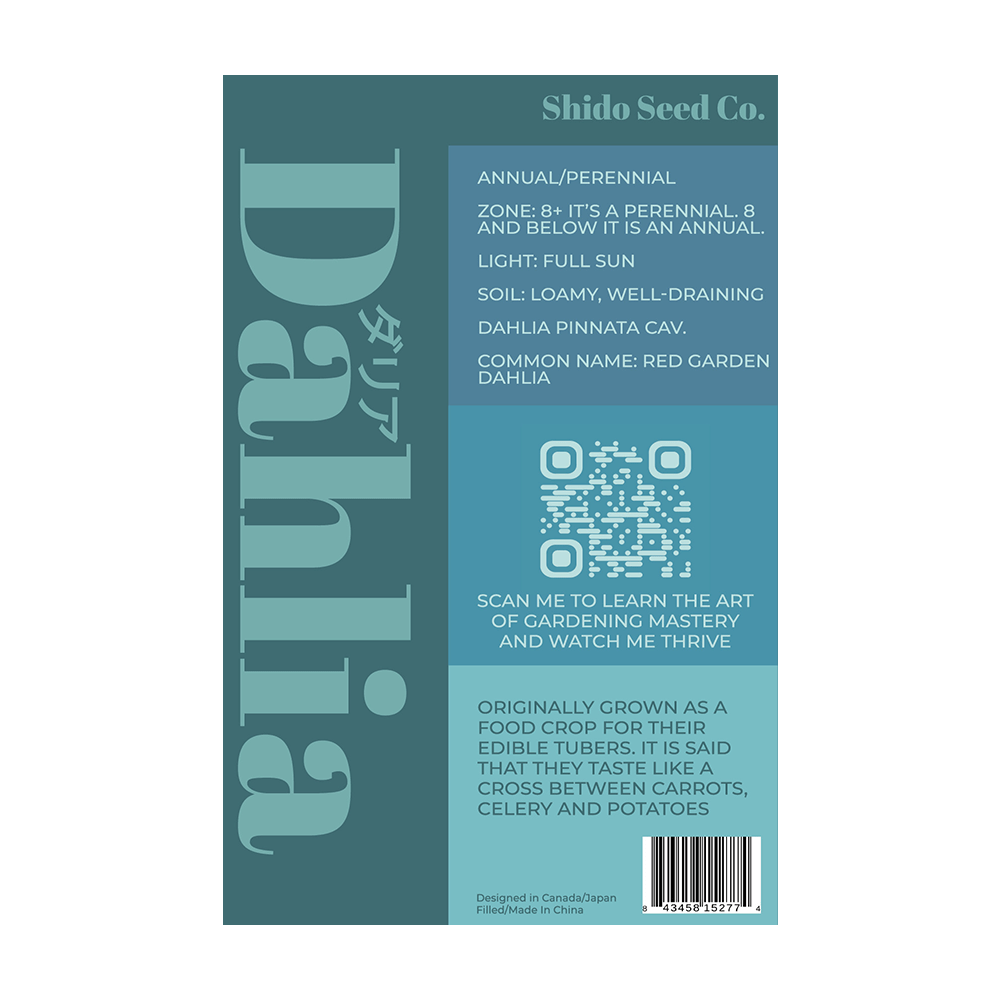 Dahlia Flower Seed Packet