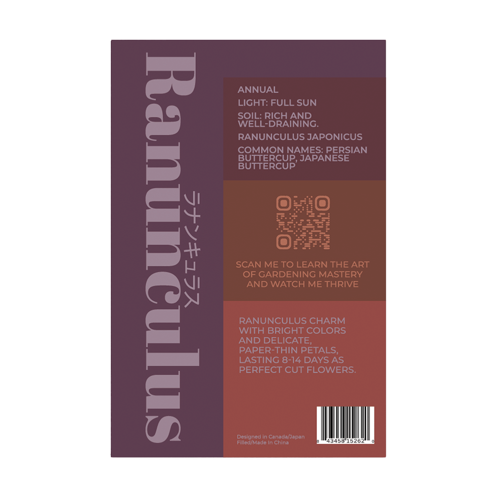 Ranunculus Flower Seed Packet