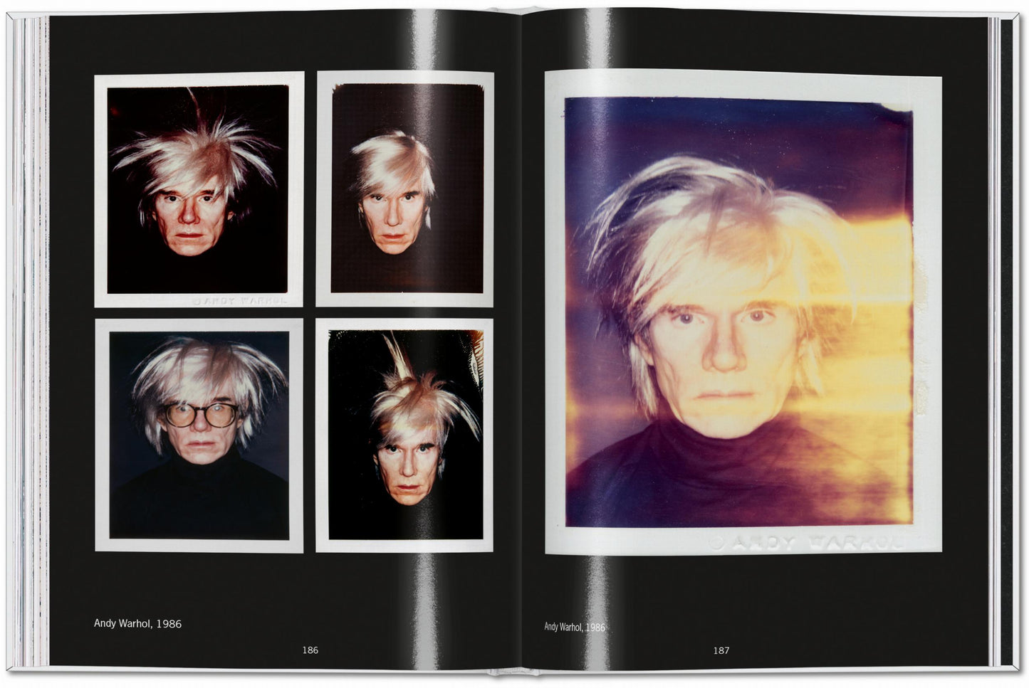 Andy Warhol Polaroids: 1958 - 1987 - Chrysler Museum Shop