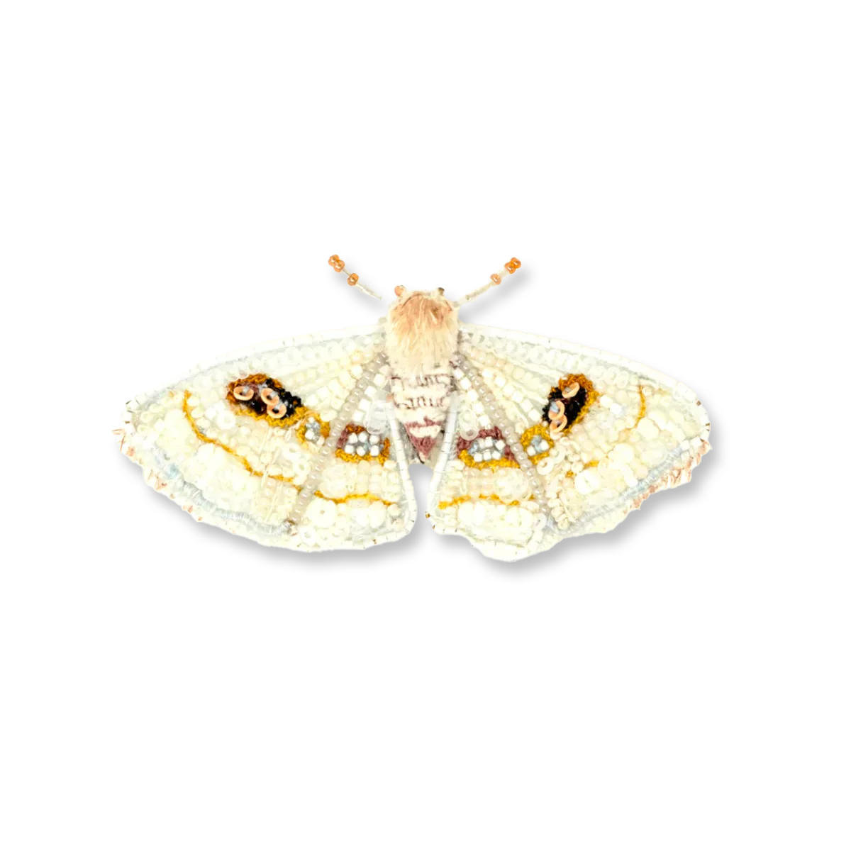 White moth with golden details on a white background