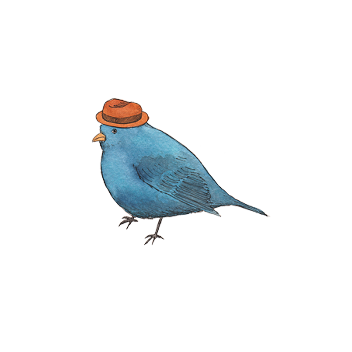 Blue bird wearing a red hat on a white background