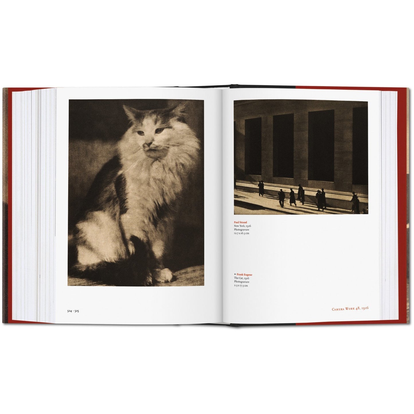 Camera Work: The Complete Photographs by Alfred Stieglitz - Chrysler Museum Shop