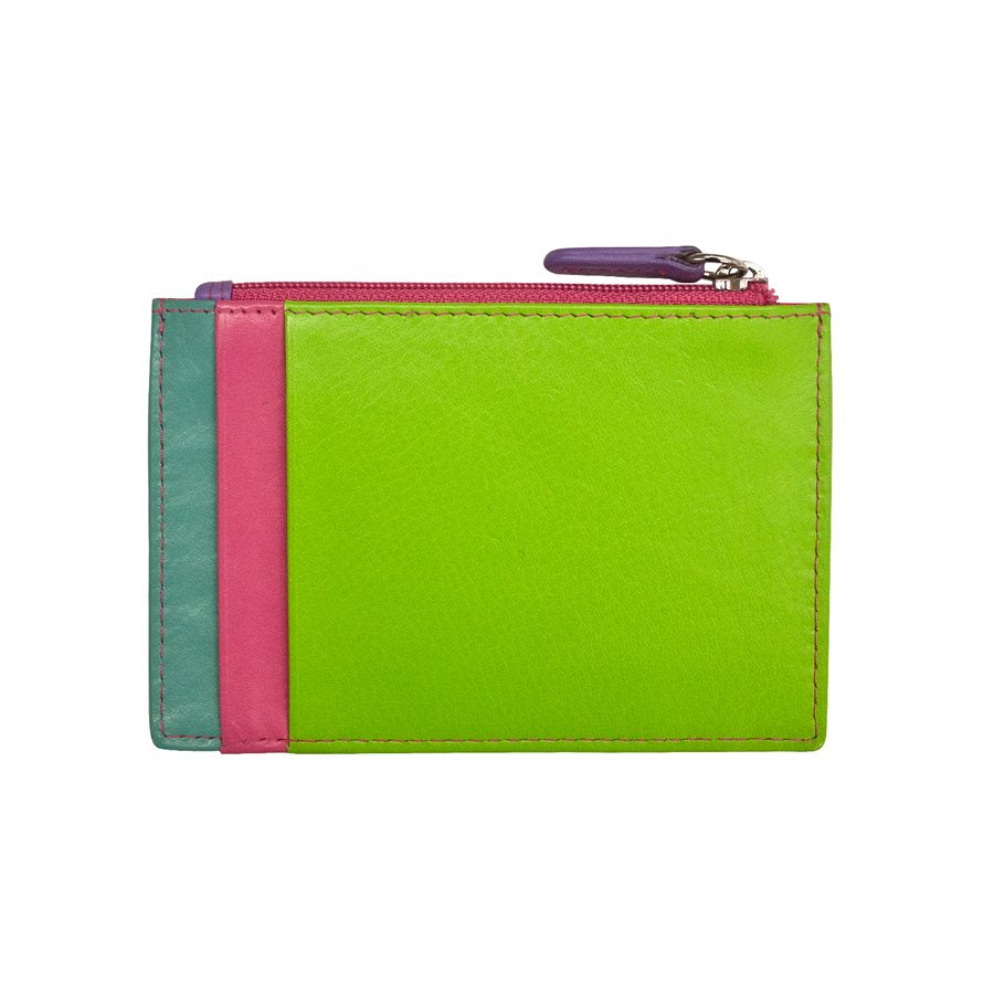 Zip ID Card Case: Palm Beach - Chrysler Museum Shop