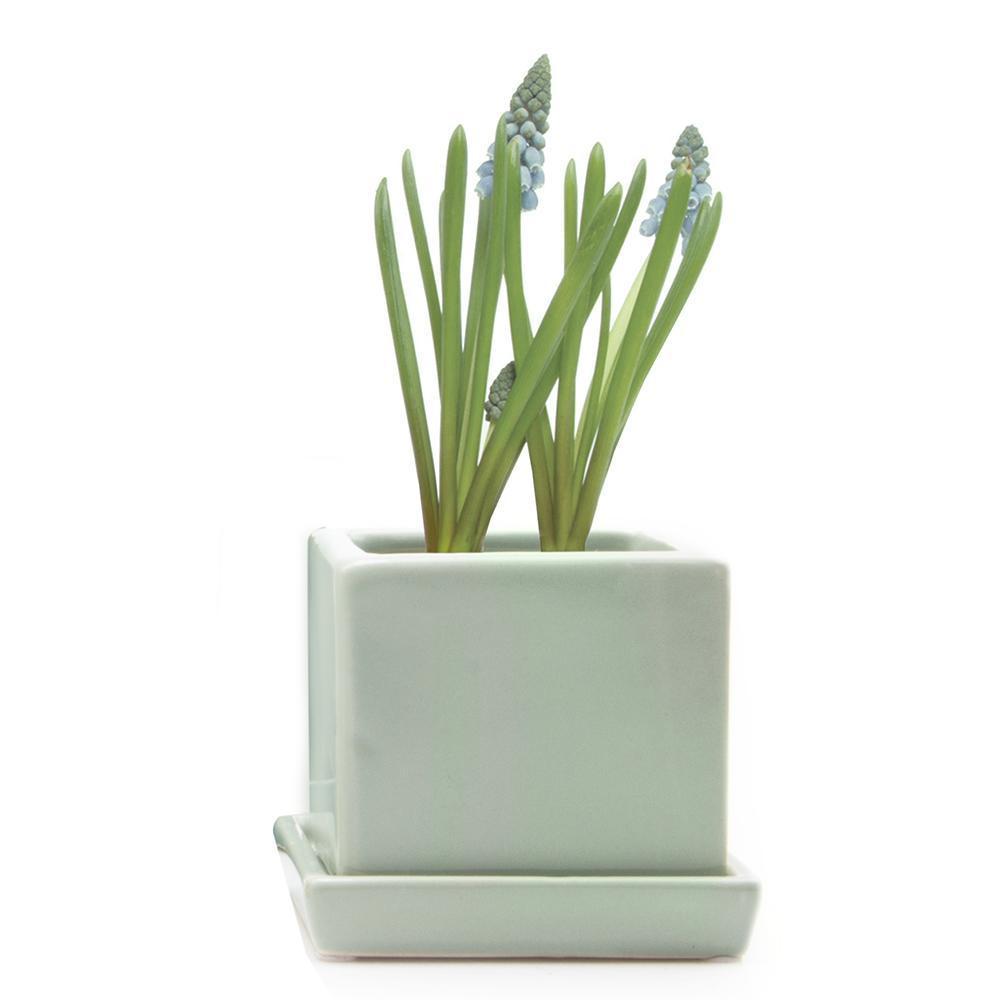 Ceramic Cube & Saucer Plant Pot - Chrysler Museum Shop