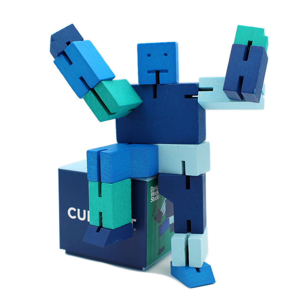 Cubebot Micro - Blue Multi
