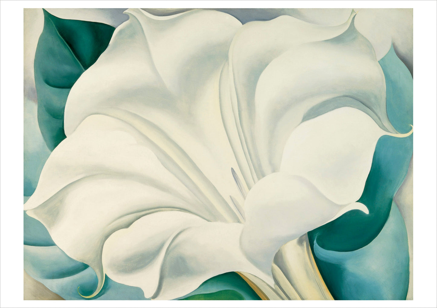 Artistic depiction of a white flower with teal accents on a light background