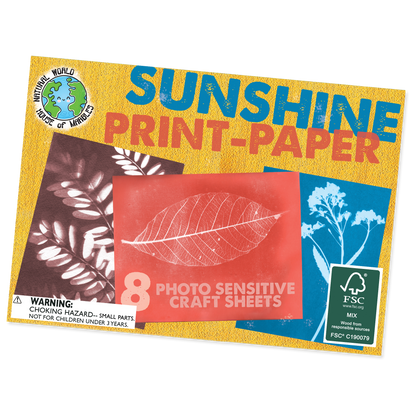 Sunshine Print Paper Kit