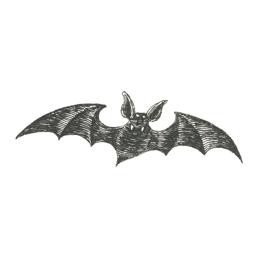 Edward Gorey's Vampire Bat Temporary Tattoos