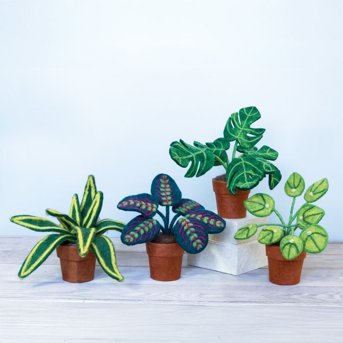 Wool Felt Potted Tropical: Money Plant