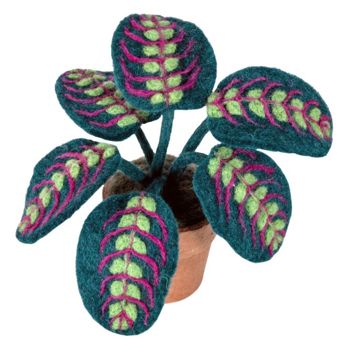 Wool Felt Potted Tropical: Prayer Plant