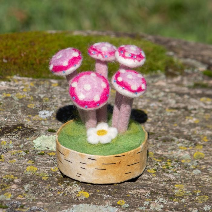 Woodland Mushroom: Pink Lady
