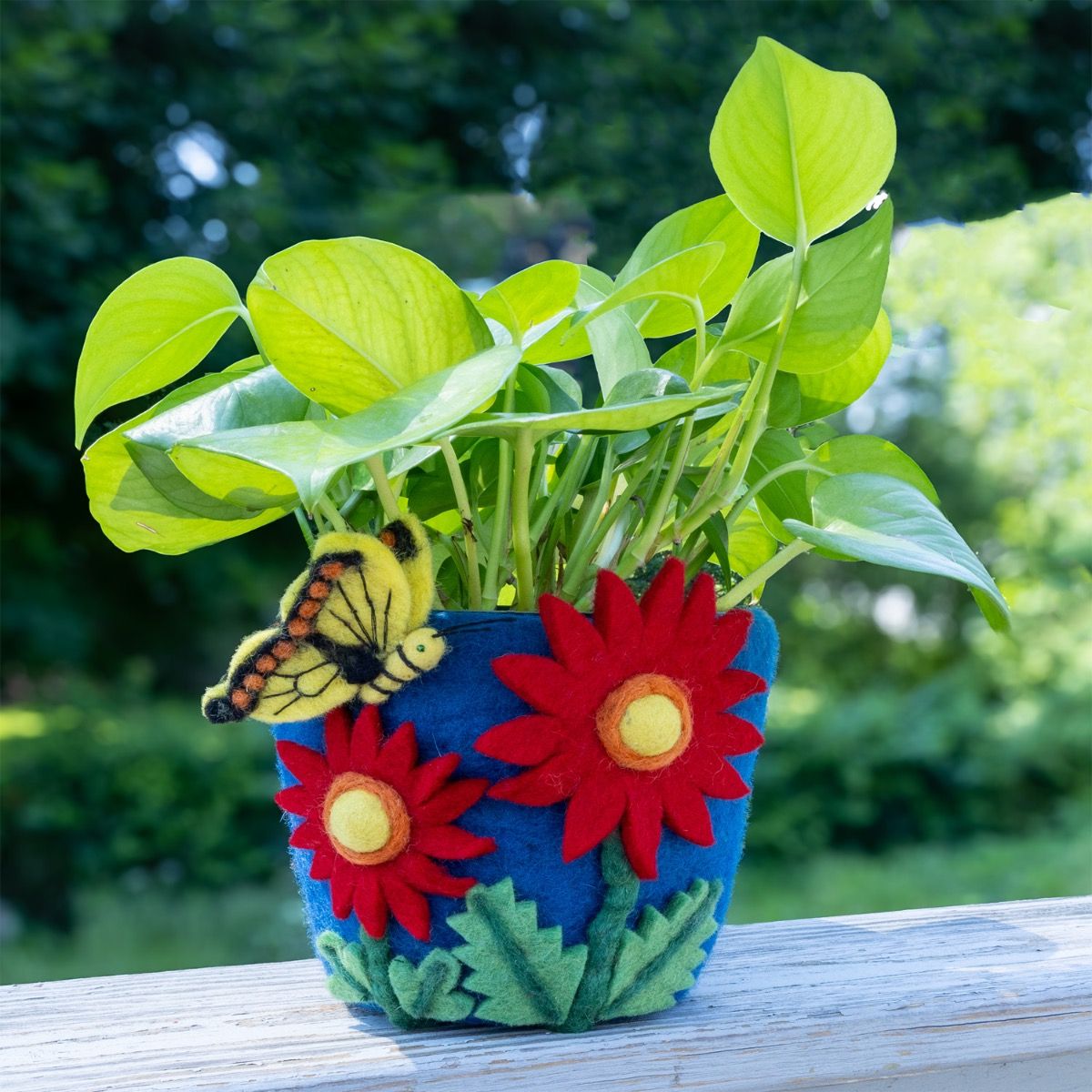 cosmos plant in pots Felt Pollinator Flower Pot: Cosmos – Chrysler Museum of Art
