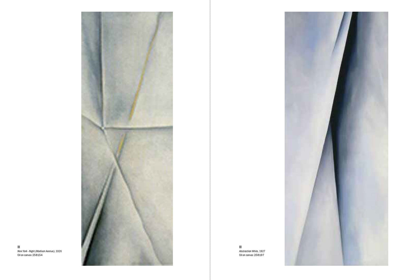 Georgia O'Keeffe: My New Yorks