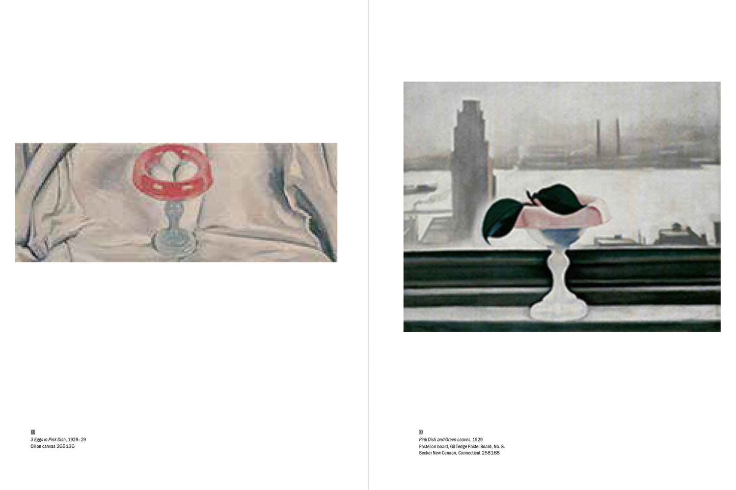 Georgia O'Keeffe: My New Yorks