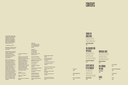 Georgia O'Keeffe: My New Yorks