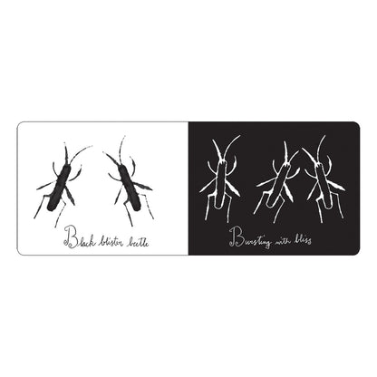 Two black and white illustrations of beetles on a white background