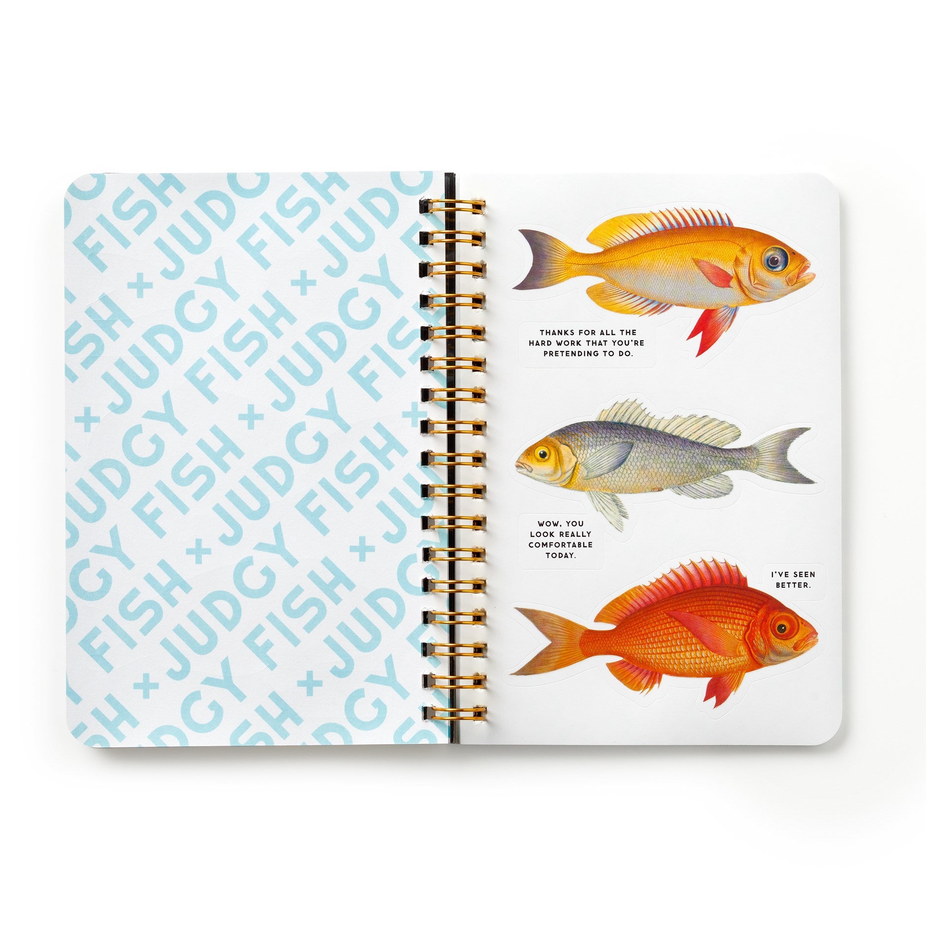 Notebook with fish illustrations and text on a white background