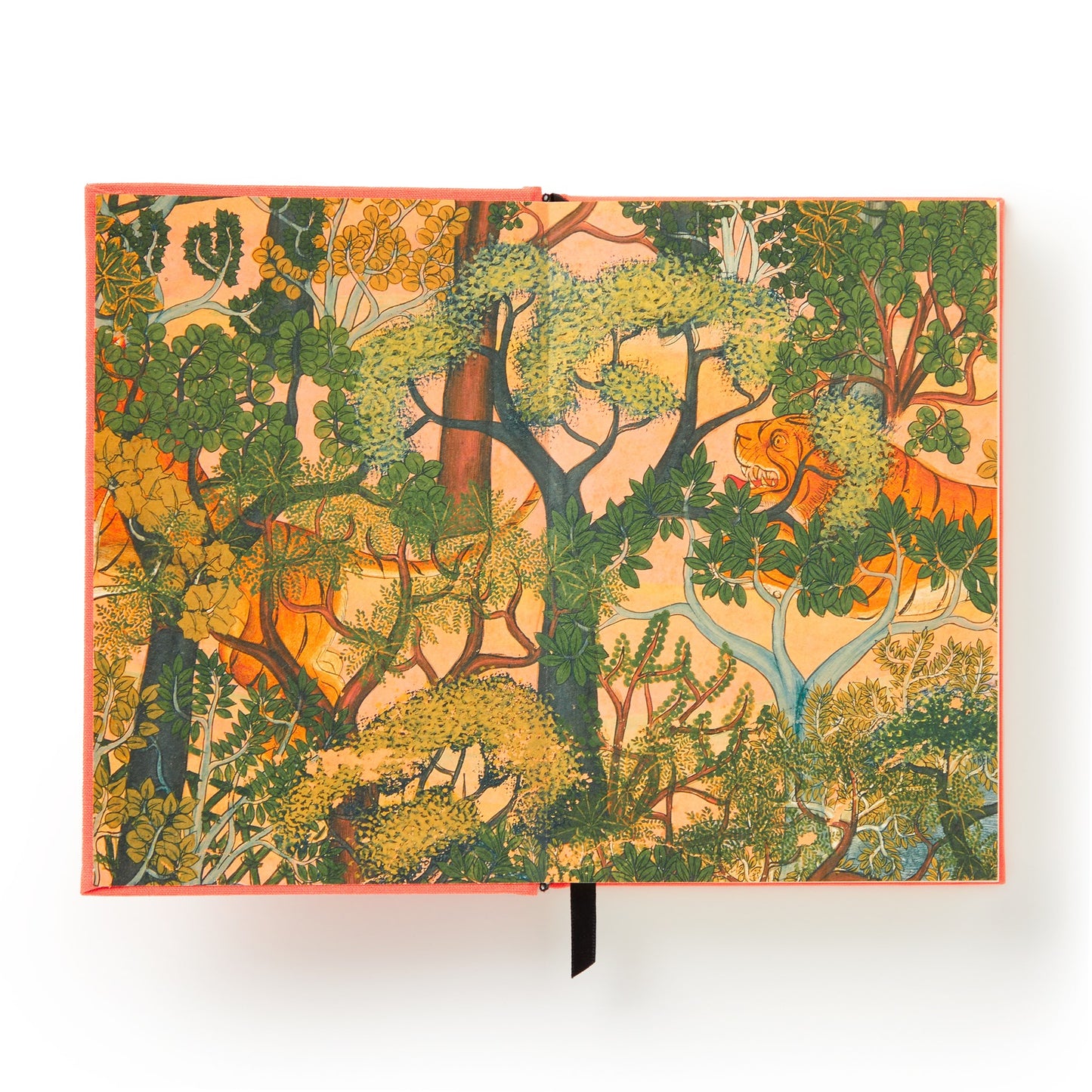 Book with a jungle-themed cover featuring trees and animals on a white background