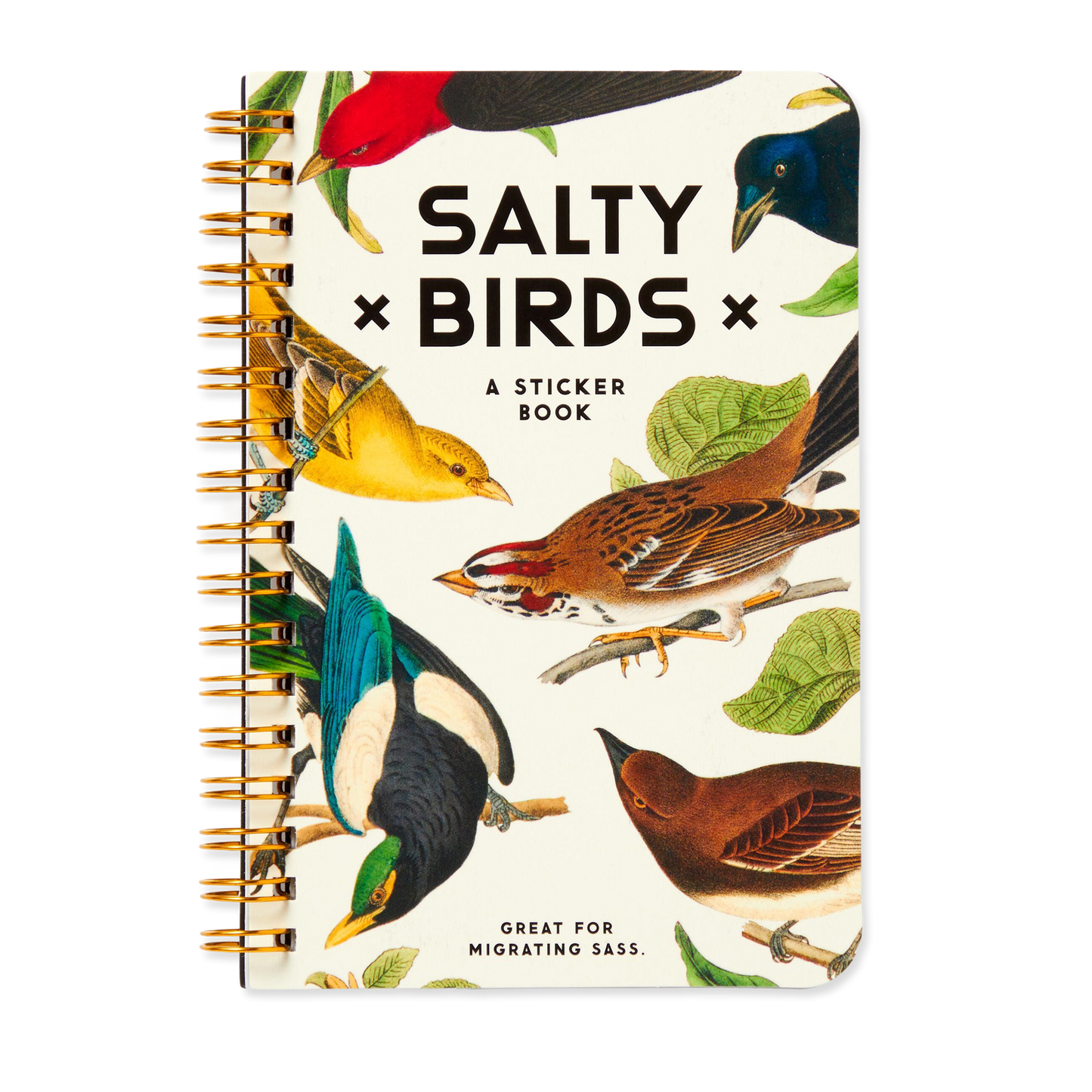 Sticker book titled 'Salty Birds' with bird illustrations on a white background