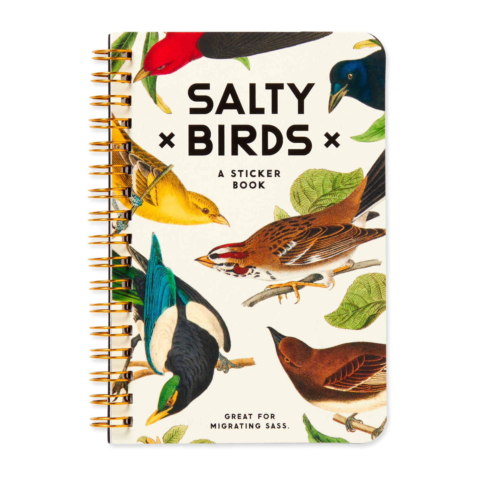 Sticker book titled 'Salty Birds' with bird illustrations on a white background