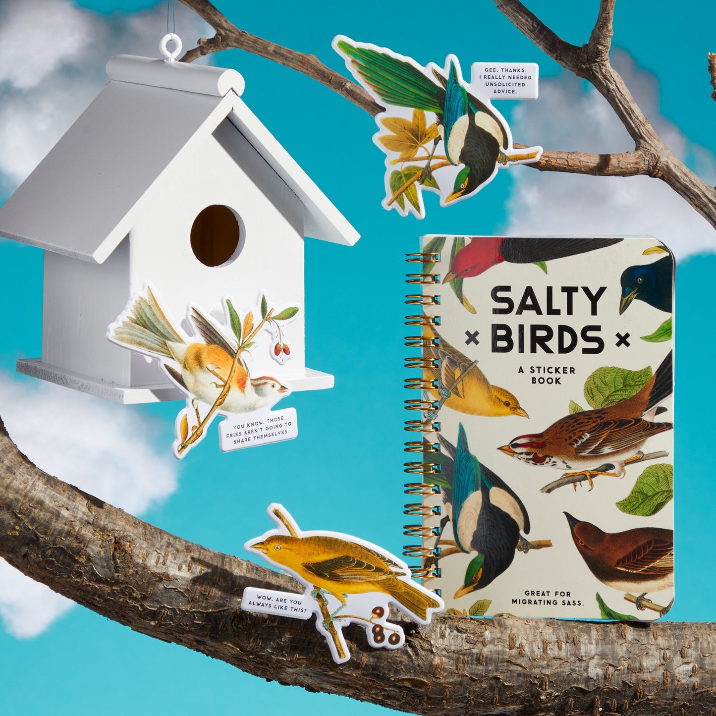 Birdhouse, stickers, and 'Salty Birds' sticker book on a branch with a blue sky background