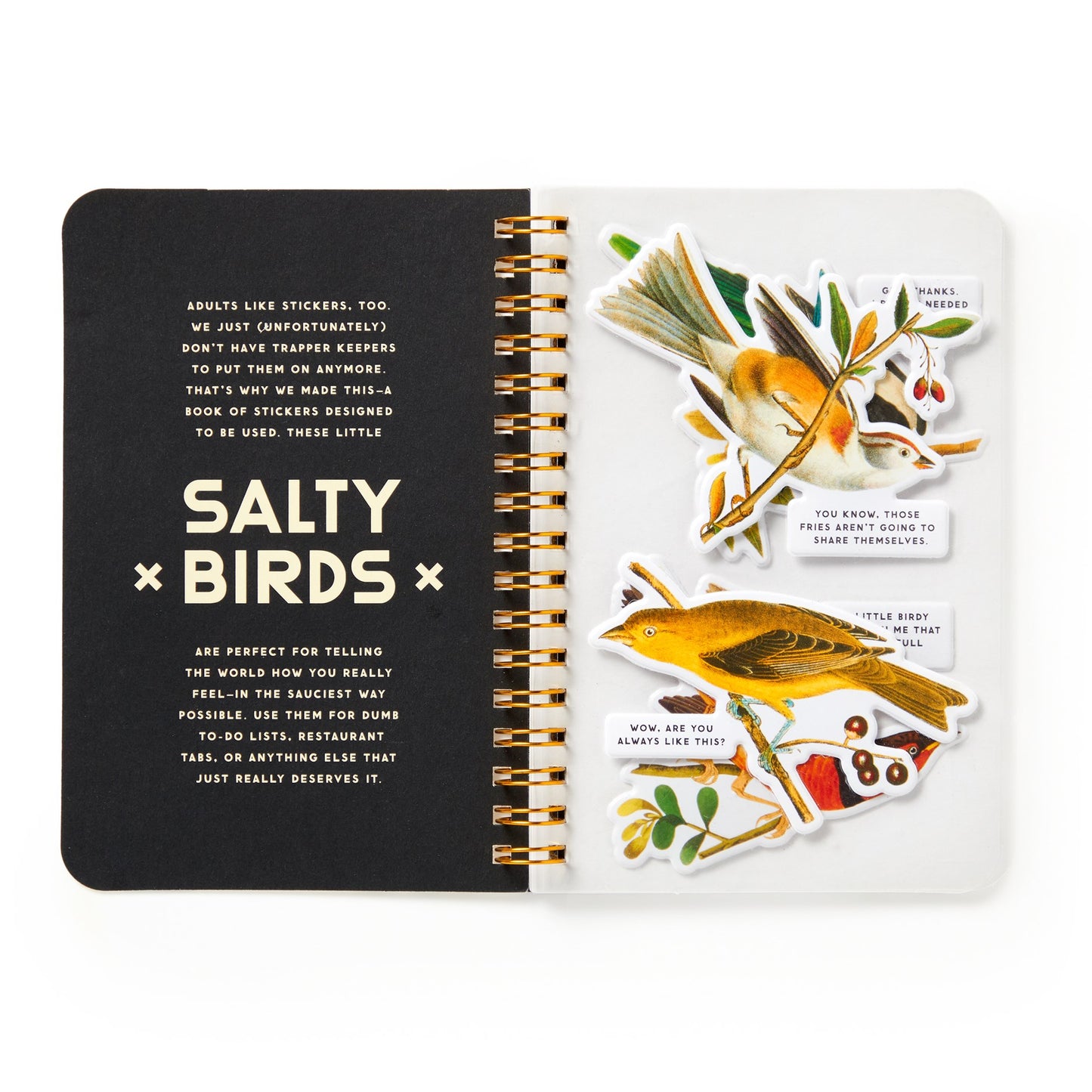 Sticker book with bird illustrations and text on a white background