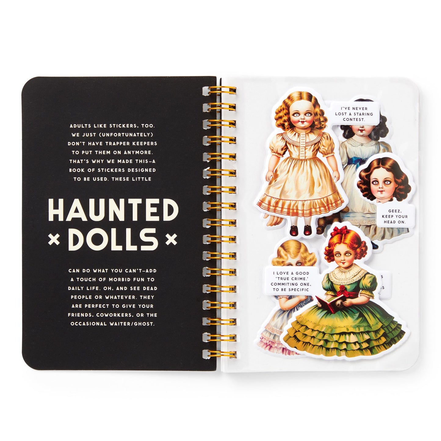 Open notebook with 'Haunted Dolls' design on a white background