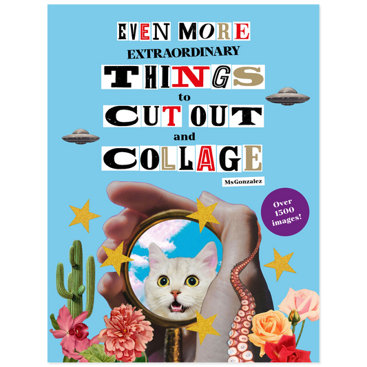 Book cover with a cat, hand, mirror, and collage elements on a blue background