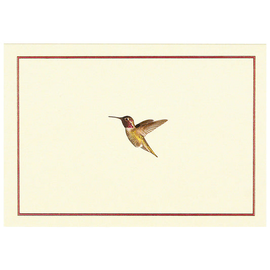 Tarjetas de notas en caja: Vuelo del colibrí