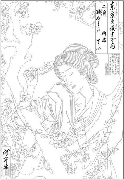 In A Japanese Garden Coloring Book