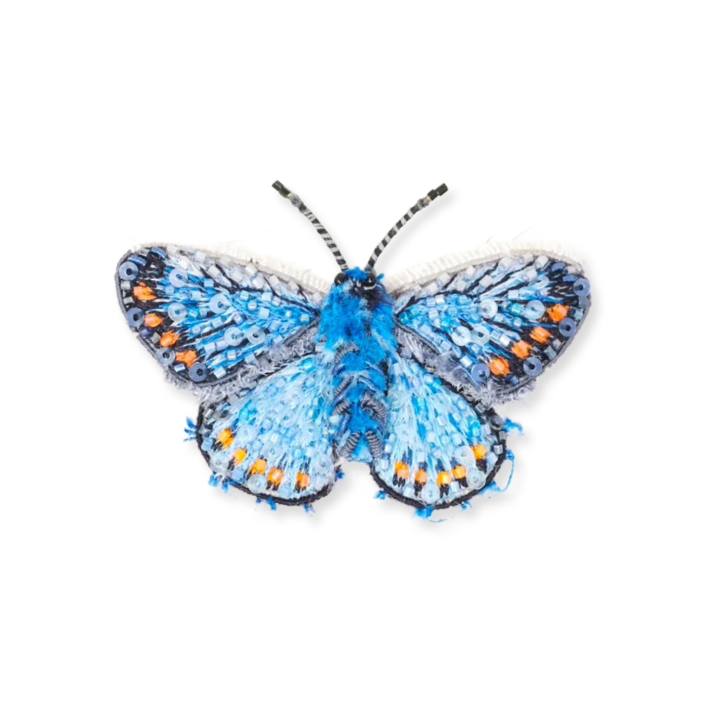 Blue butterfly with orange accents on a white background