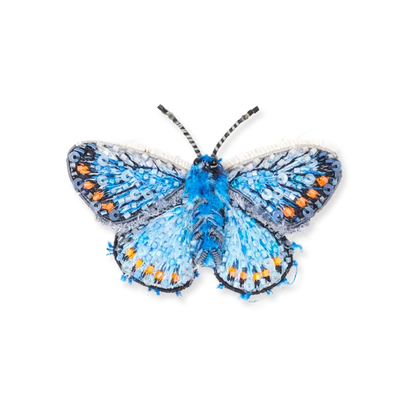 Blue butterfly with orange accents on a white background