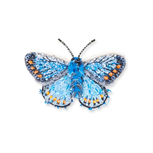 Blue butterfly with orange accents on a white background