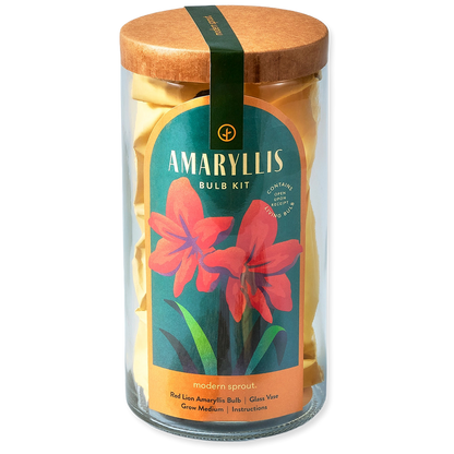 Amaryllis Bulb Kit