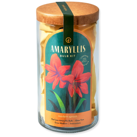 Amaryllis Bulb Kit