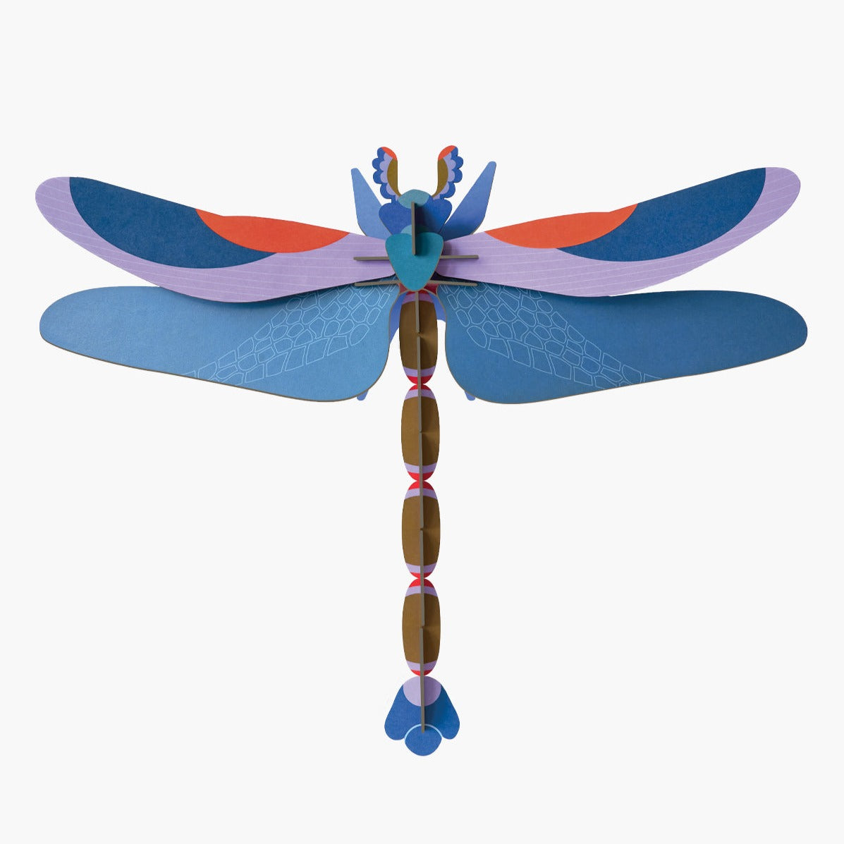 Dragonfly Kit.pdf Large Insect Kit: Blue Dragonfly – Chrysler Museum of Art