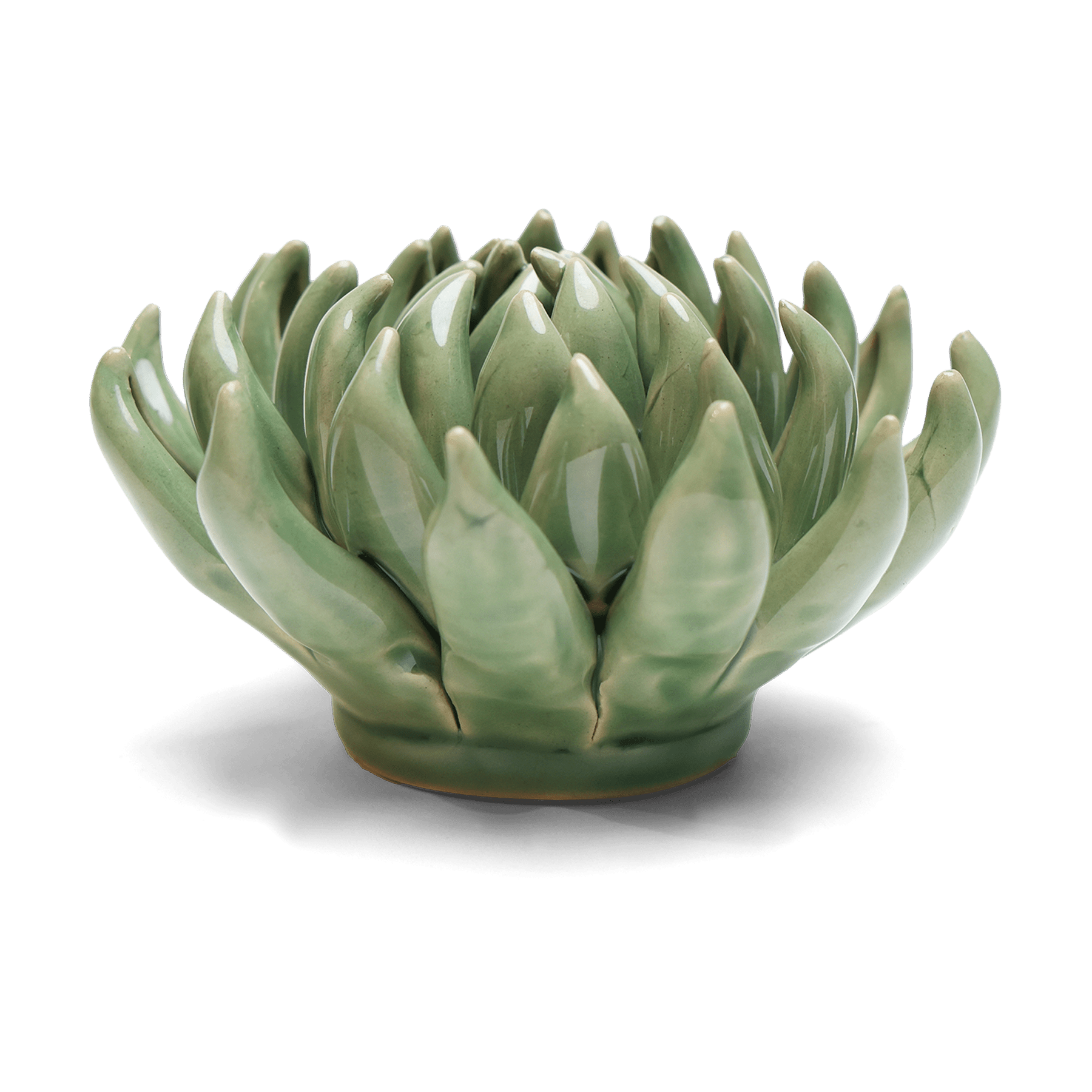 succulent wallflower Ceramic Wallflower Jade Green Succulent
