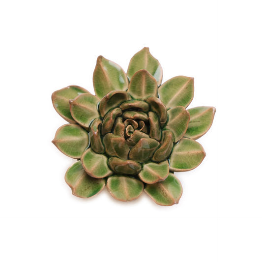 Ceramic Wallflowers - Small Green Succulent (Top) - Chrysler Museum Shop