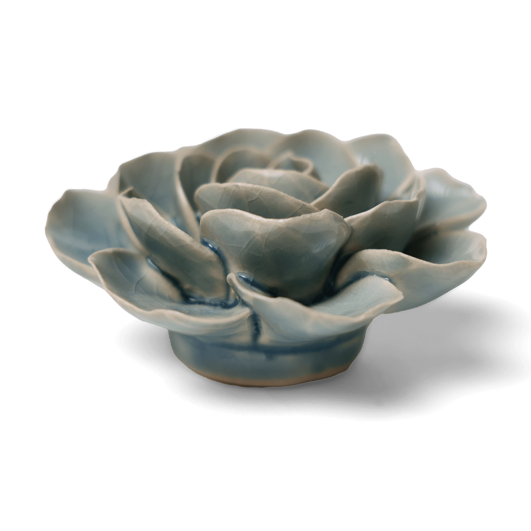 Ceramic Wallflower Teal Ranunculus (Side)