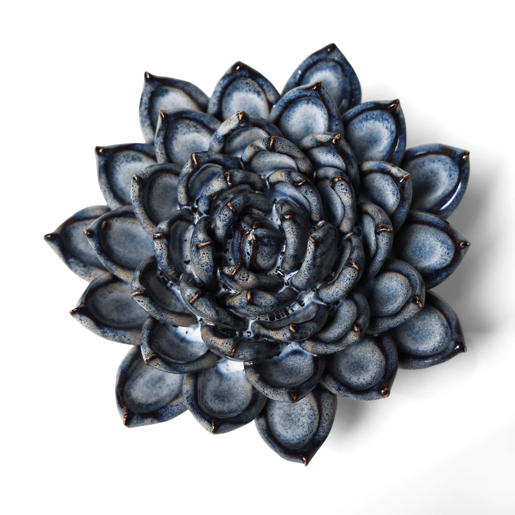 Ceramic Wallflower Large Blue Grey Succulent (Top) - Chrysler Museum Shop