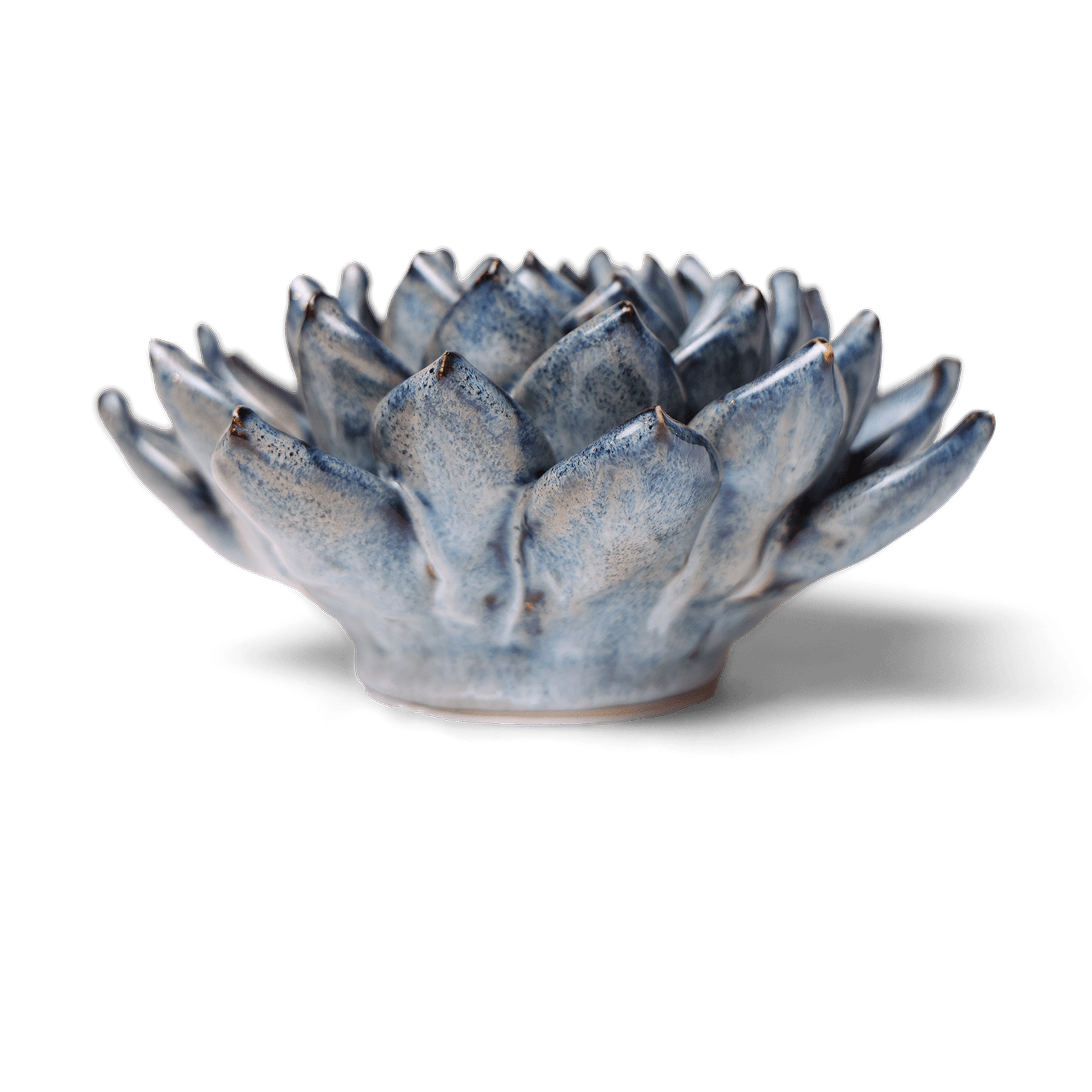 Ceramic Wallflower Large Blue Grey Succulent (Side) - Chrysler Museum Shop