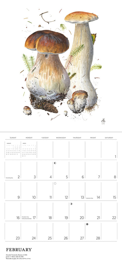 Mushrooms: Alexander Viazmensky 2025 Wall Calendar February