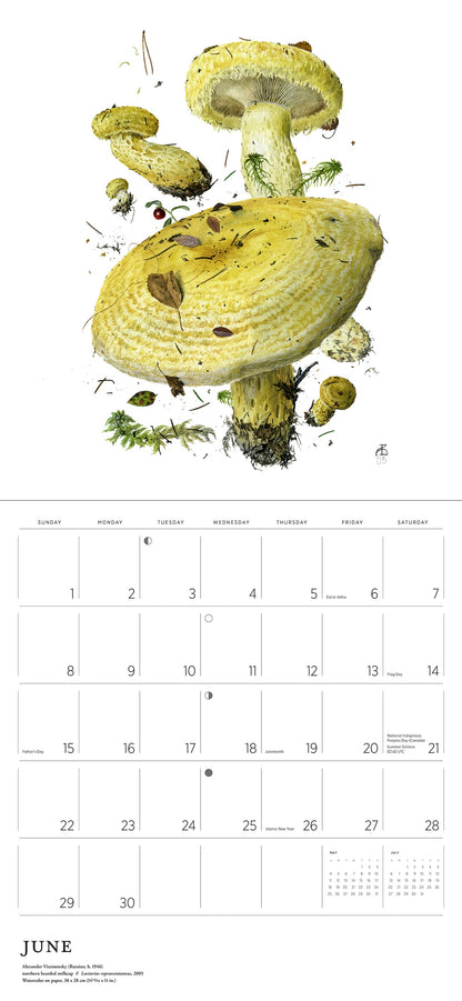 Mushrooms: Alexander Viazmensky 2025 Wall Calendar June