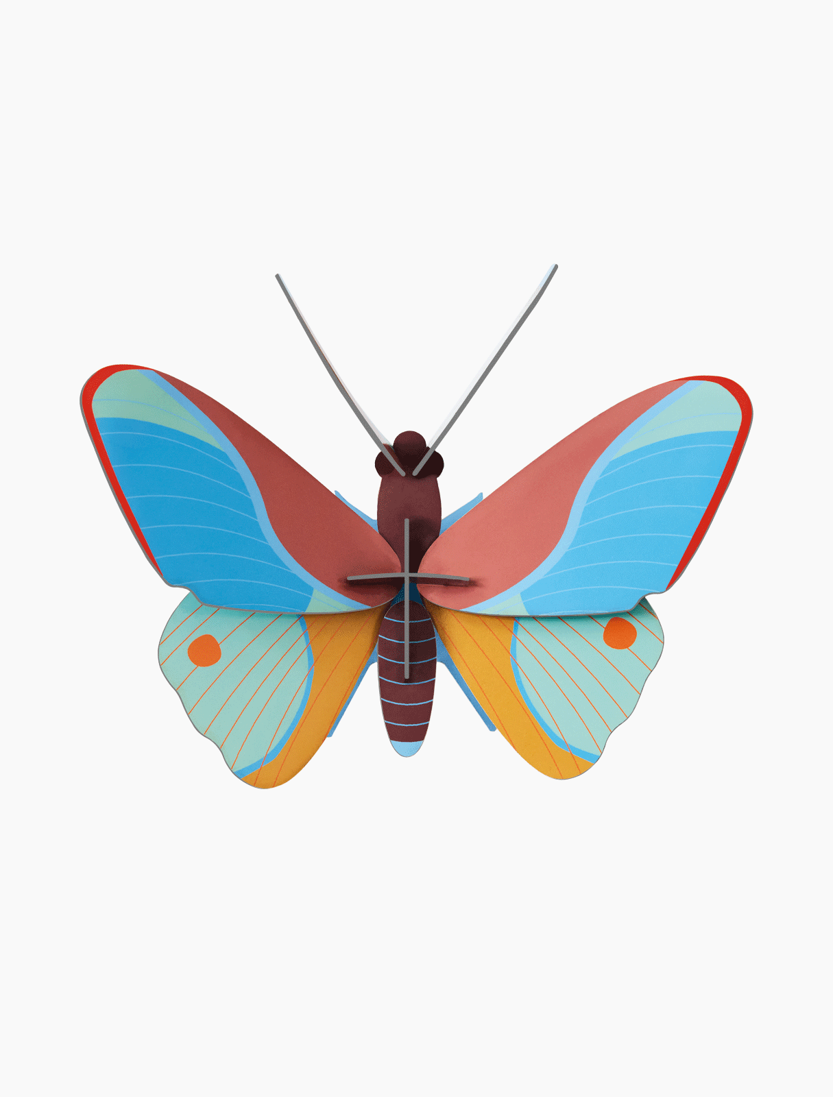 Small Insect Kit: Claudina Butterfly