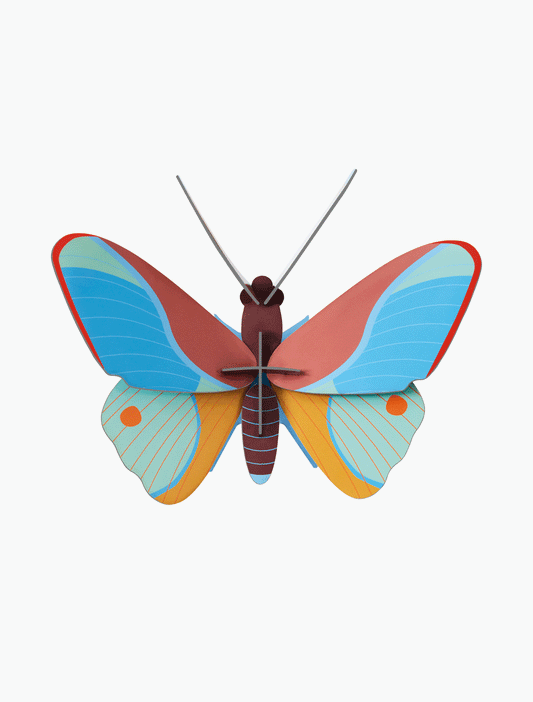Kleines Insektenset: Claudina-Schmetterling